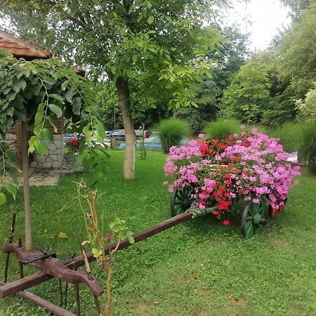 بيت ضيافة Къща За Гости Дедо Пене بانسكو